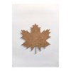 Boyanabilir Sonbahar Yaprağı Ham Mdf 6 mm