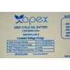 12V 100Ah Jel Akü Apex